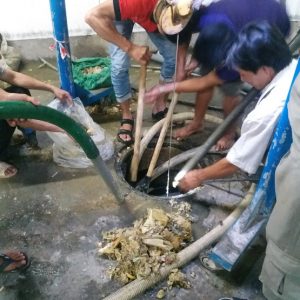 20180512_011137-300x300